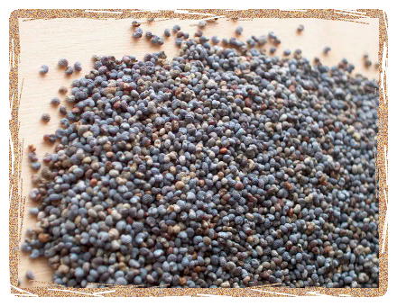 Poppy Seeds